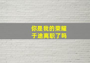 你是我的荣耀 于途离职了吗